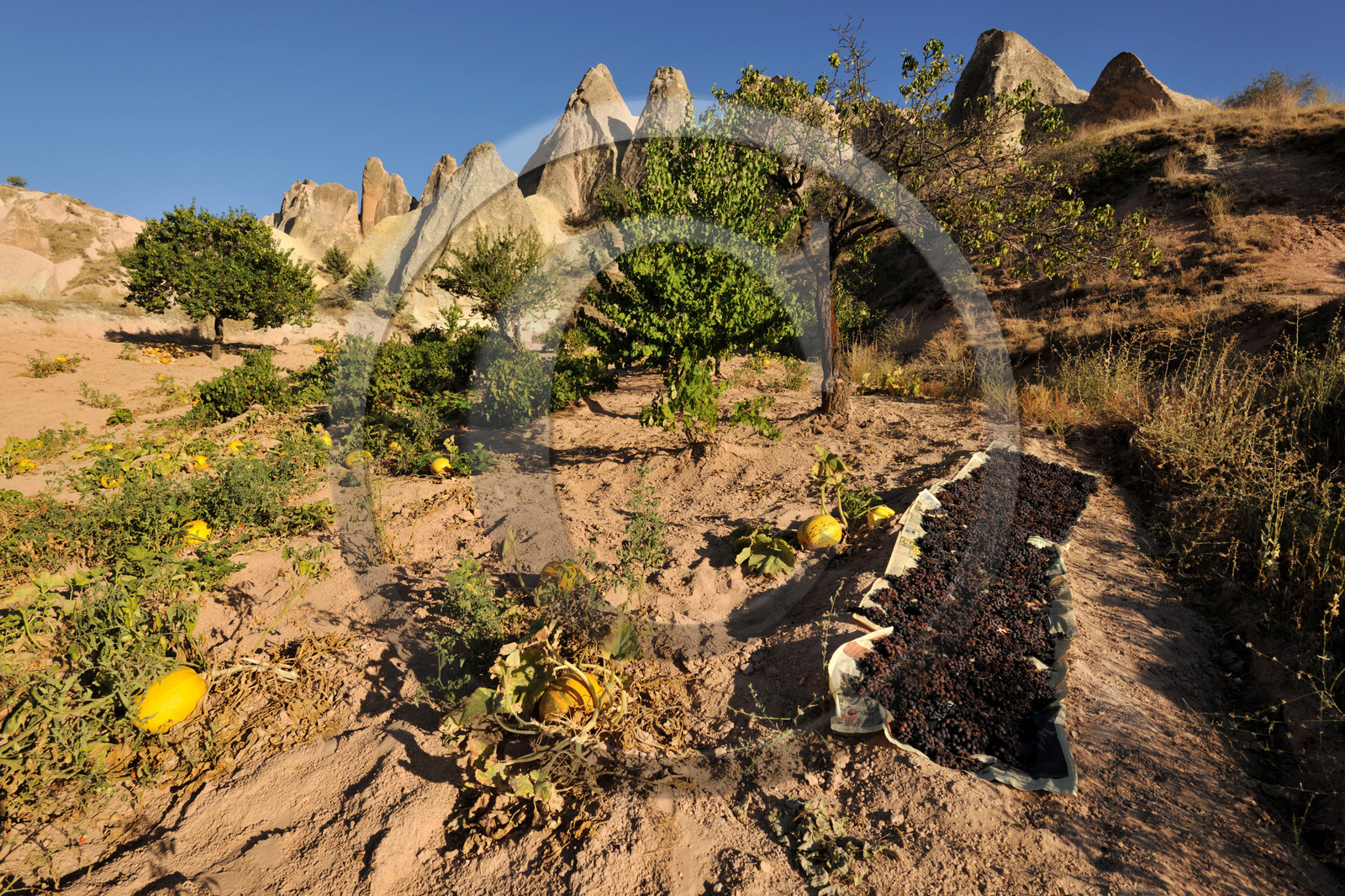 Turquie, Cappadoce