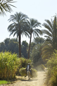 Egypte, Nil