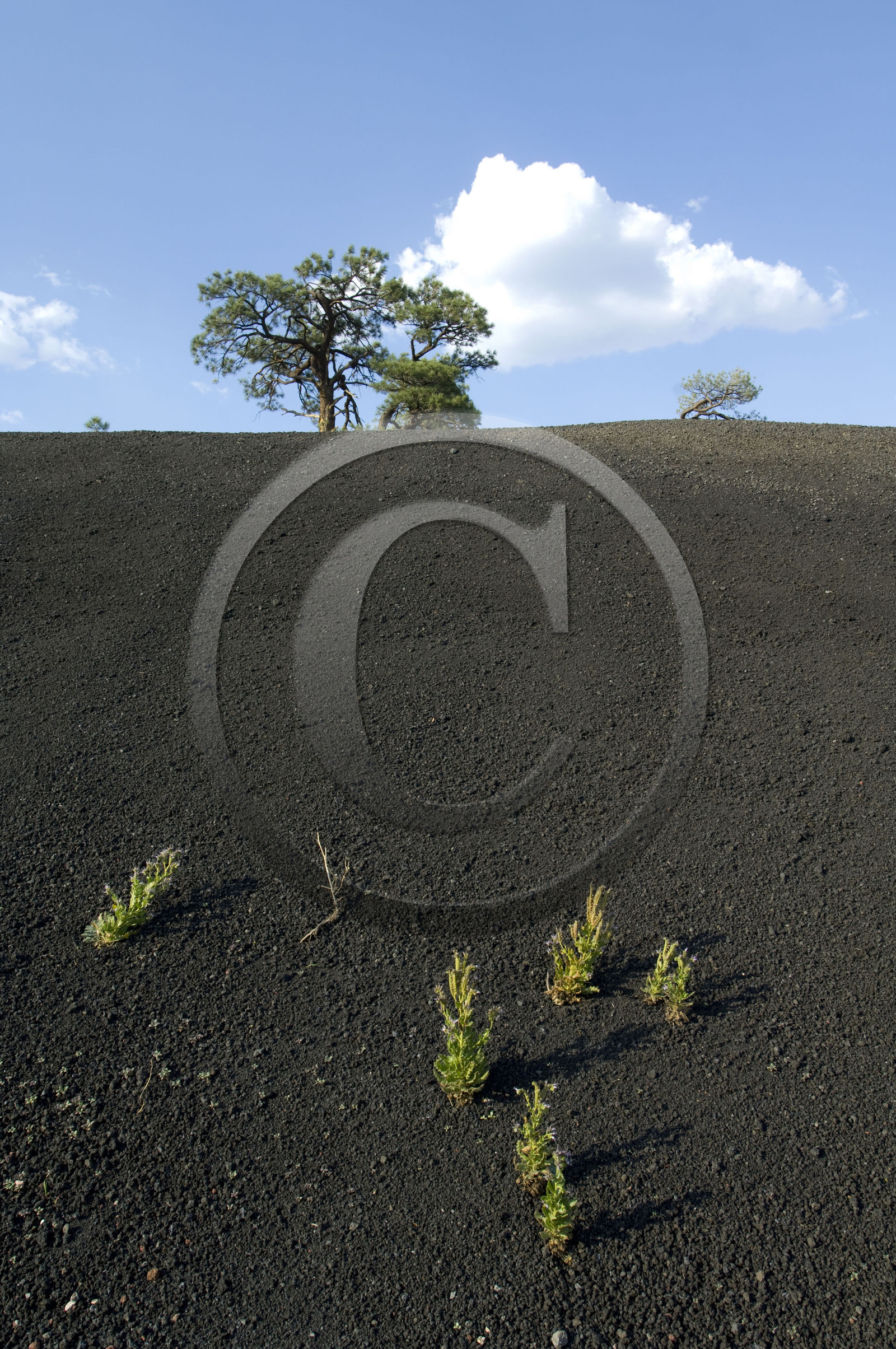 USA, SUNSET CRATER