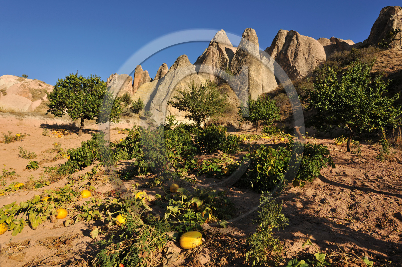 Turquie, Cappadoce
