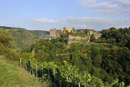 Allemagne, Rhin