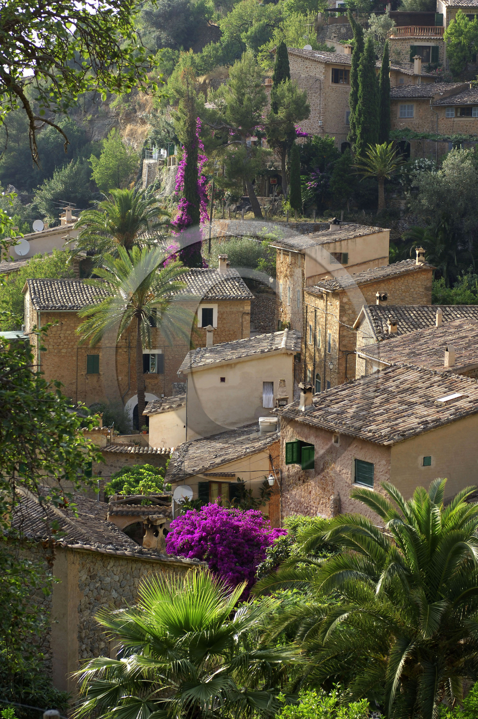 Mallorca, Balearic Islands