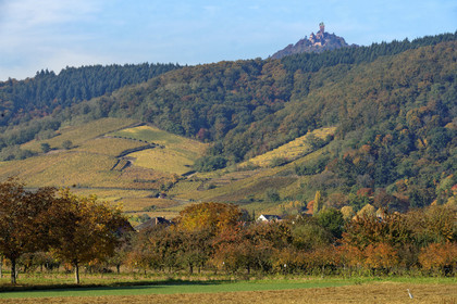 France, Haut Koenigsbourg