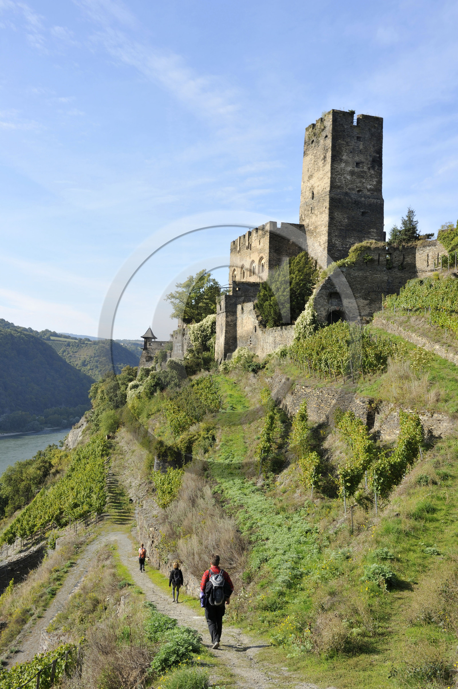 Allemangne, Rhin