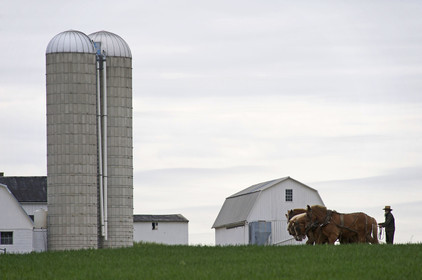 USA, Amish