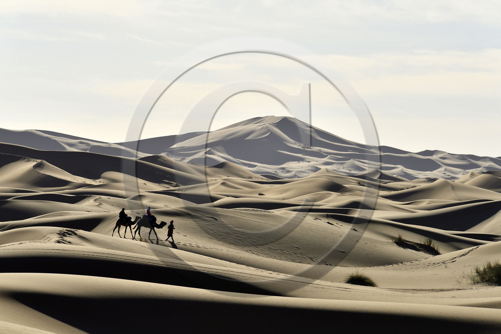 Maroc, Merzouga