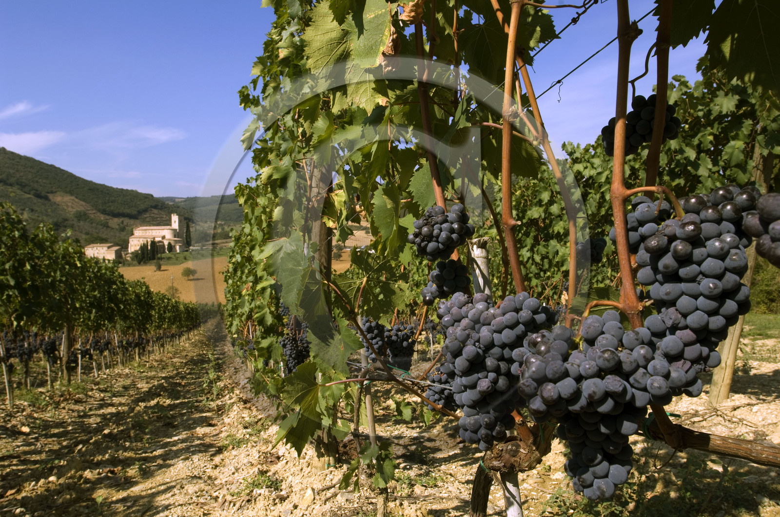 Toscana, Italia