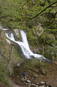 Allemagne, Forêt Noire