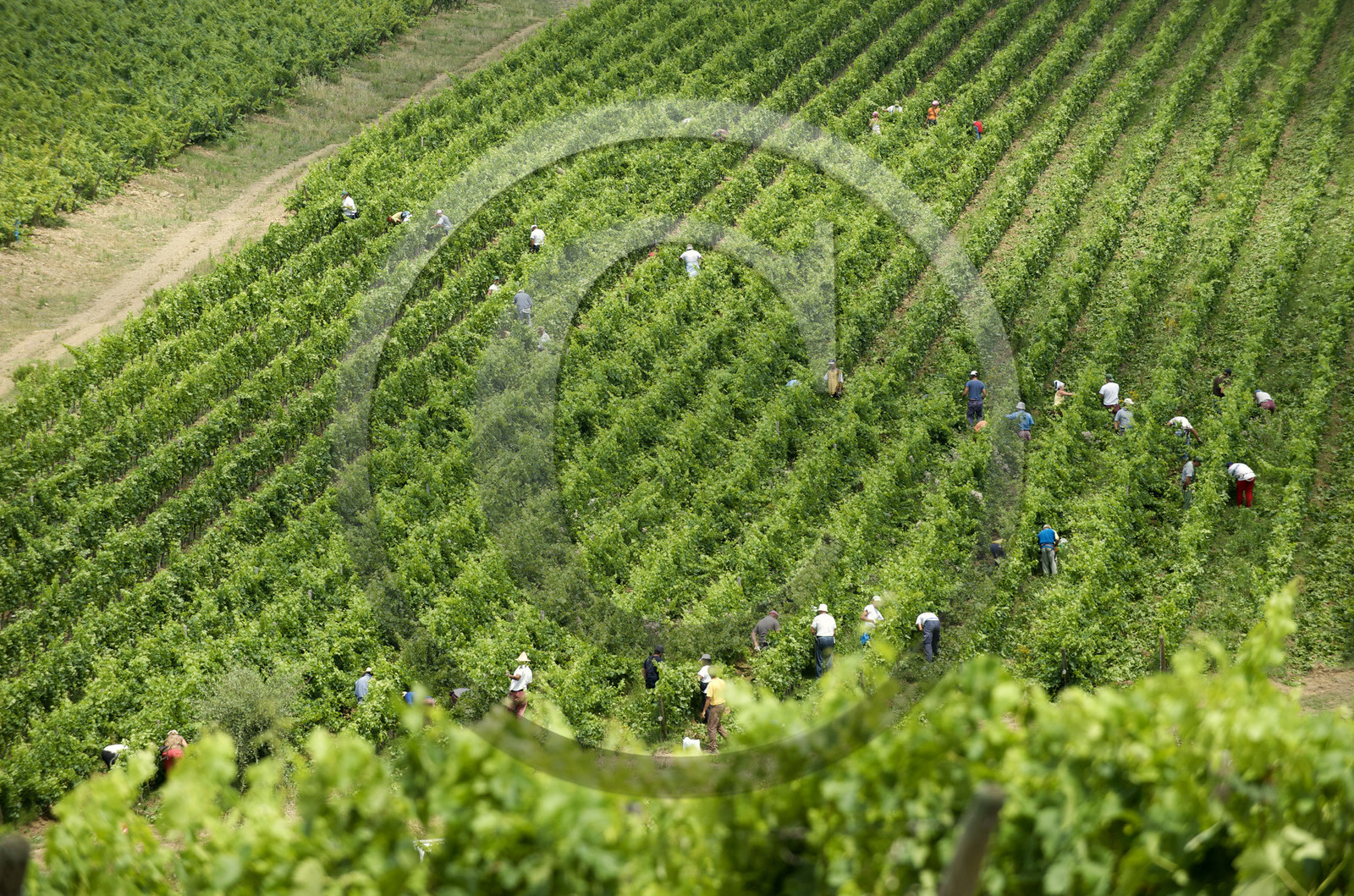 Italie, Toscane