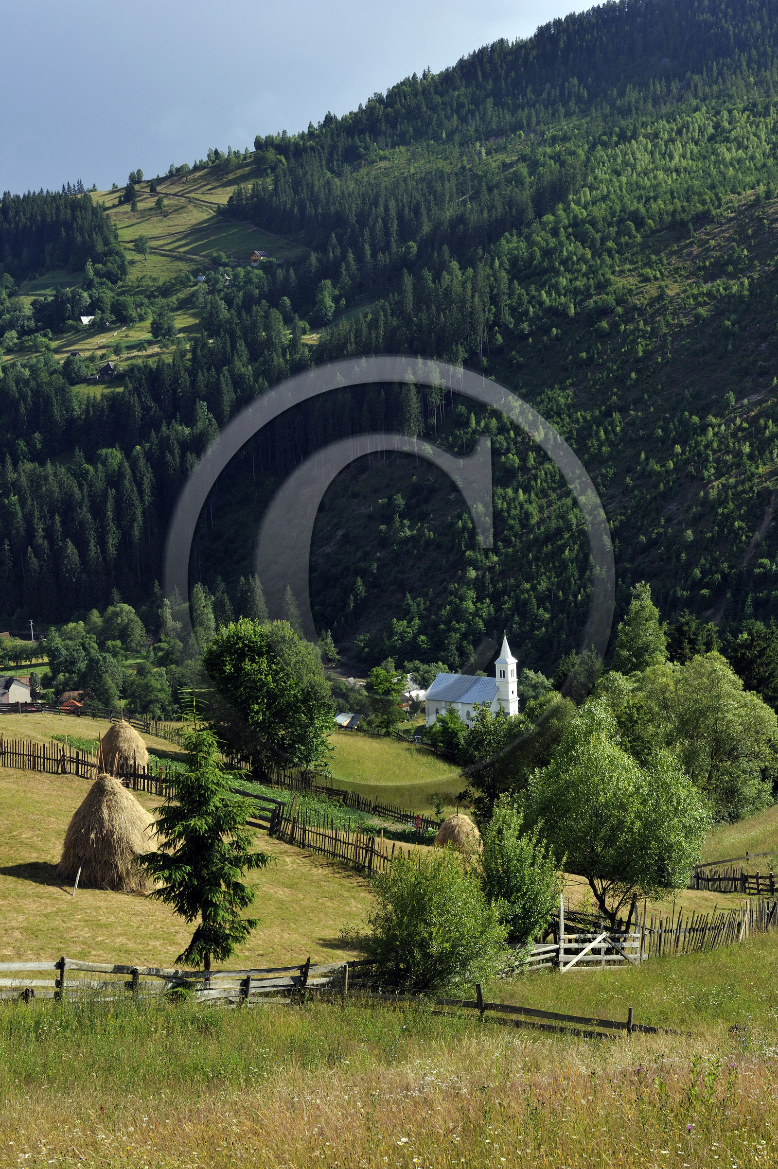 Roumanie, Apuseni