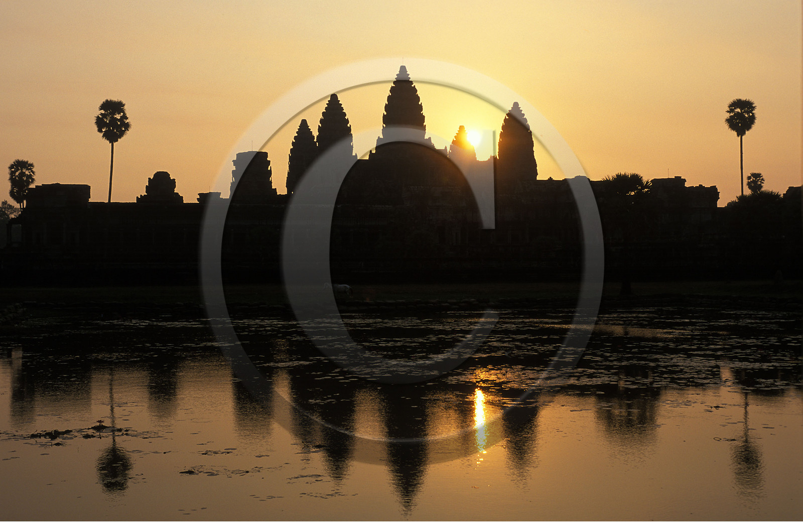 Angkor. Cambodge