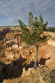 USA, BRYCE CANYON
