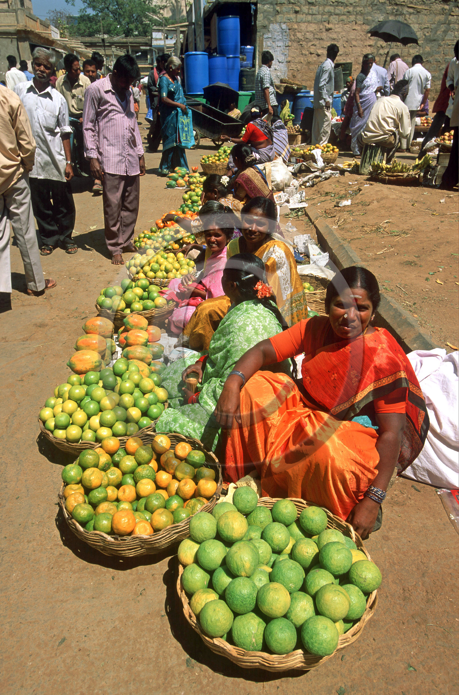 Inde du Sud