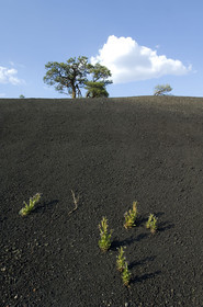 USA, SUNSET CRATER