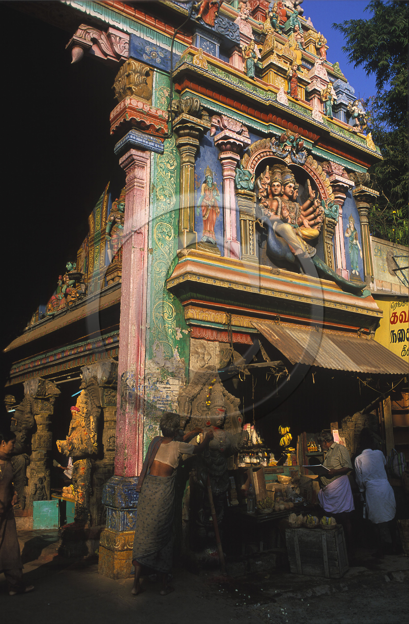 Inde du Sud