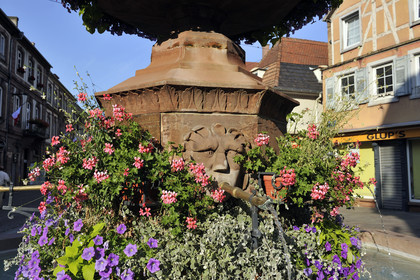 France, Haguenau