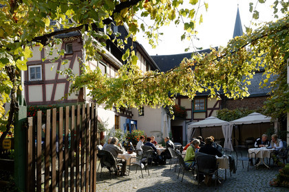 Allemagne, Rhin