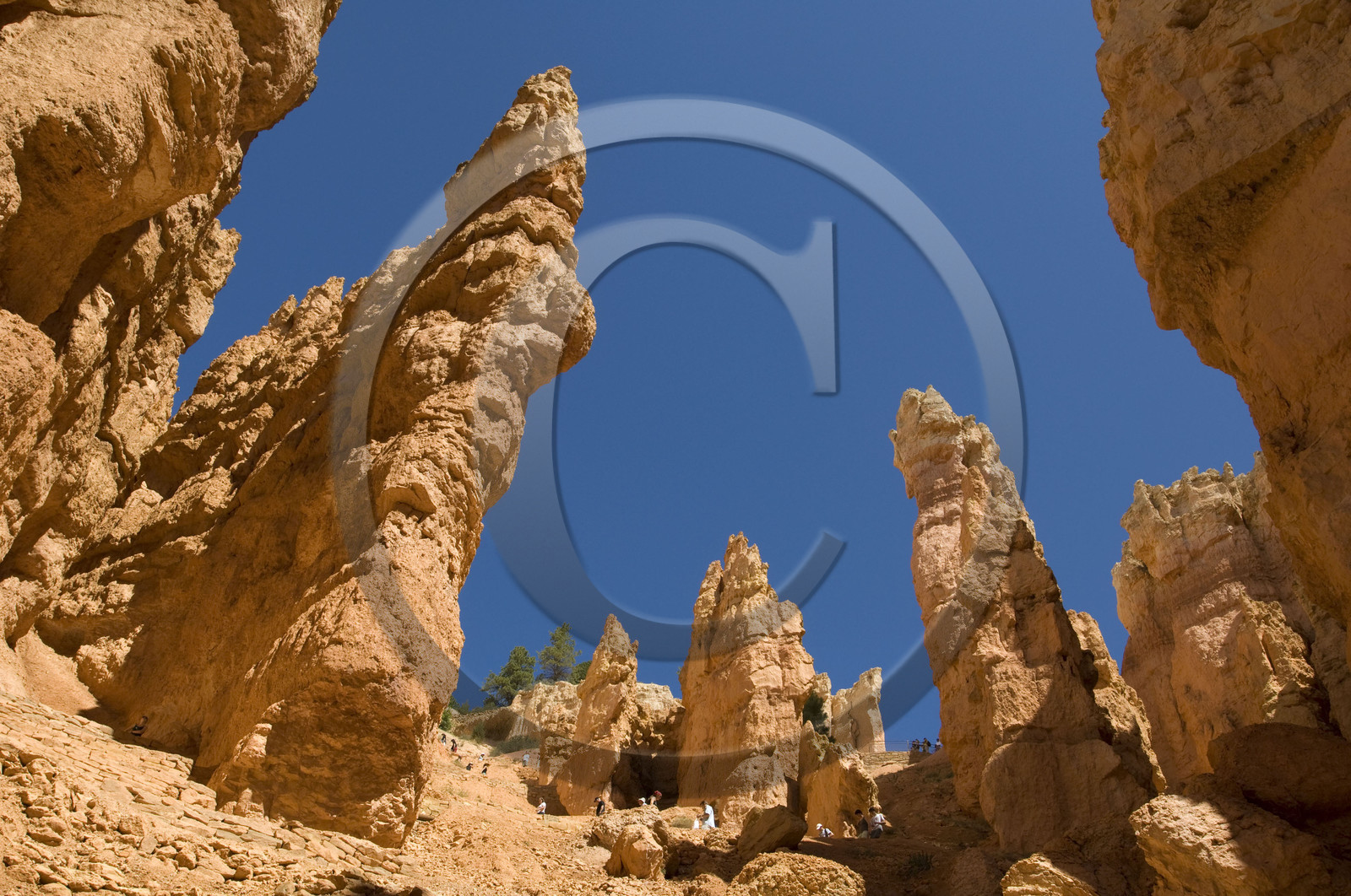USA, BRYCE CANYON