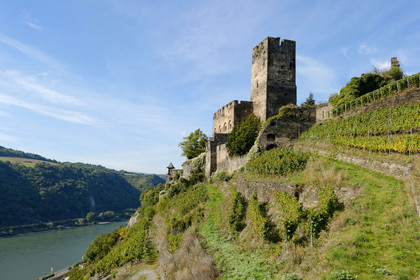 Allemangne, Rhin