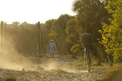 Egypte, Nil
