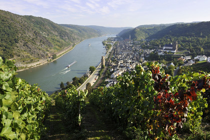Allemagne, Rhin