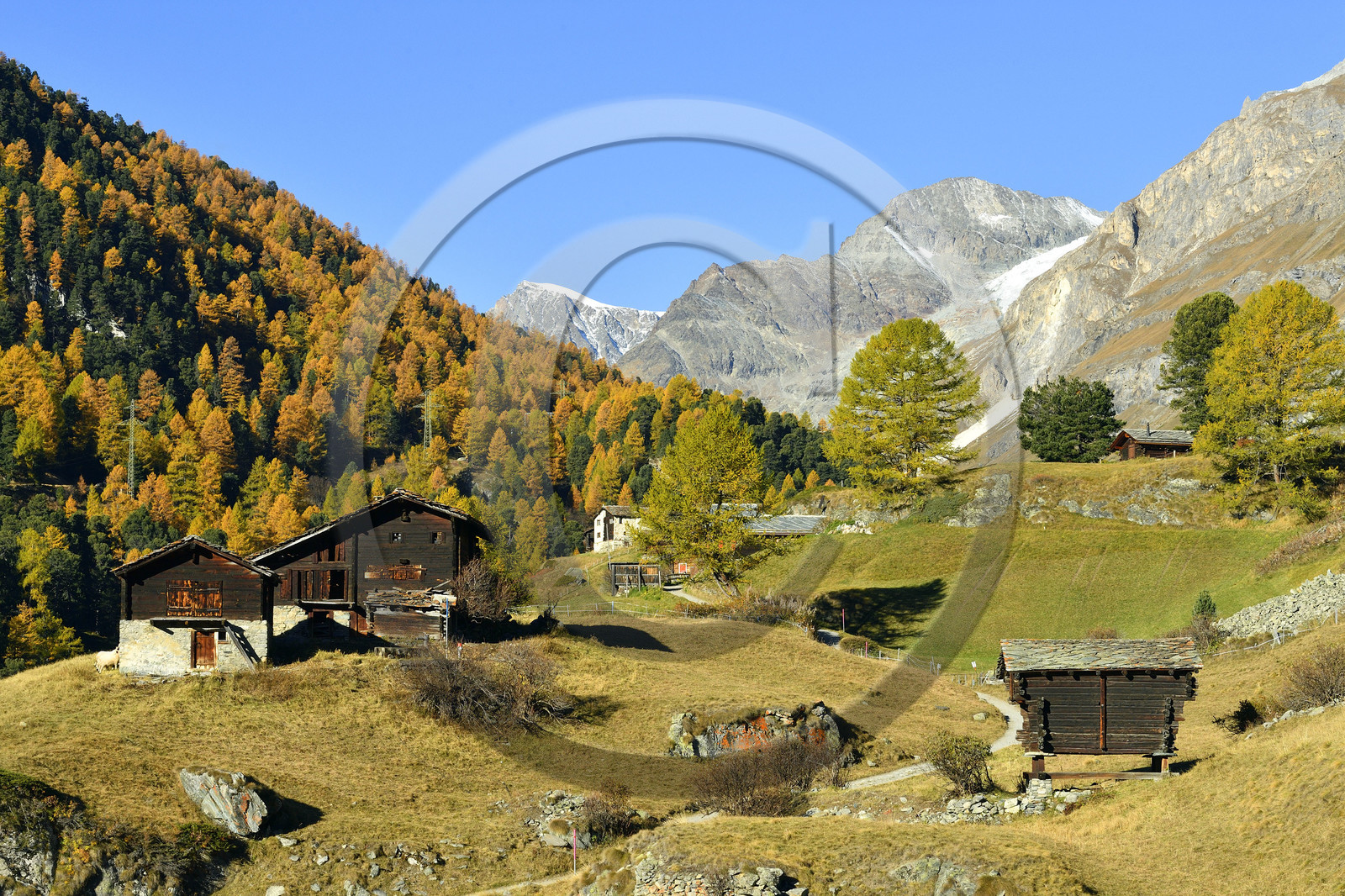 Suisse, Zermatt