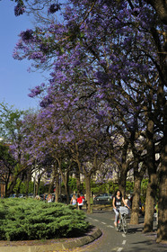 Espagne, Sevilla