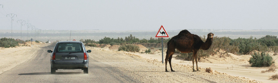 Sud Tunisie