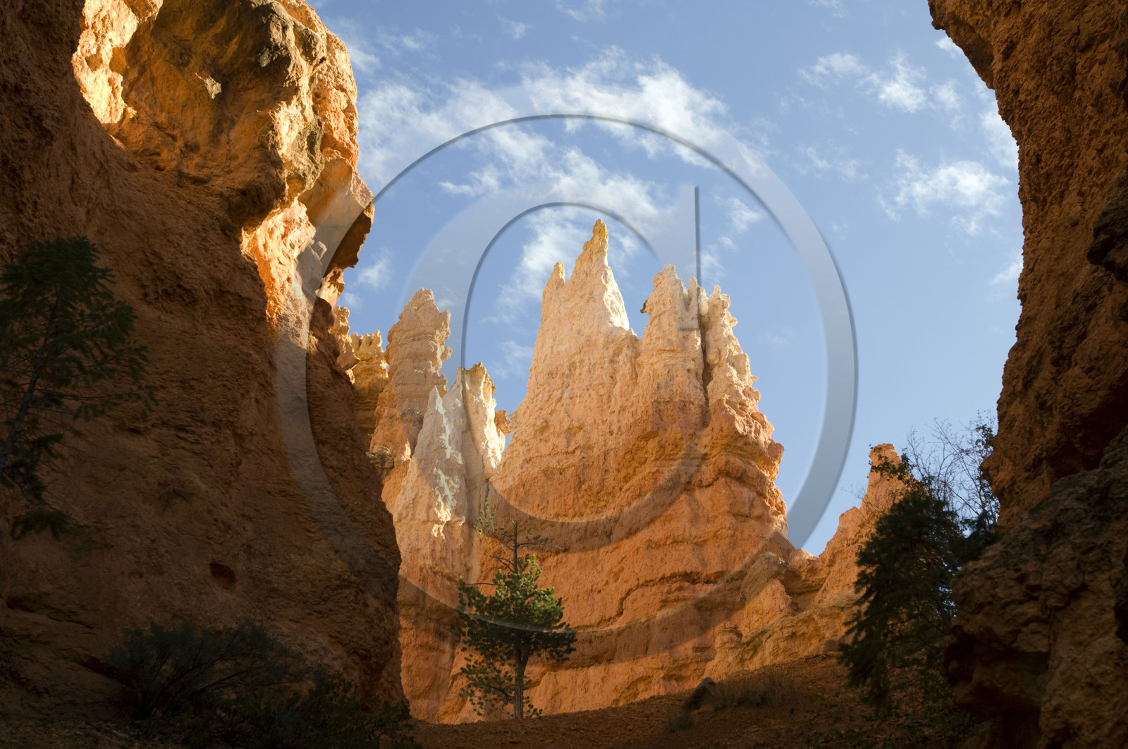 USA, BRYCE CANYON