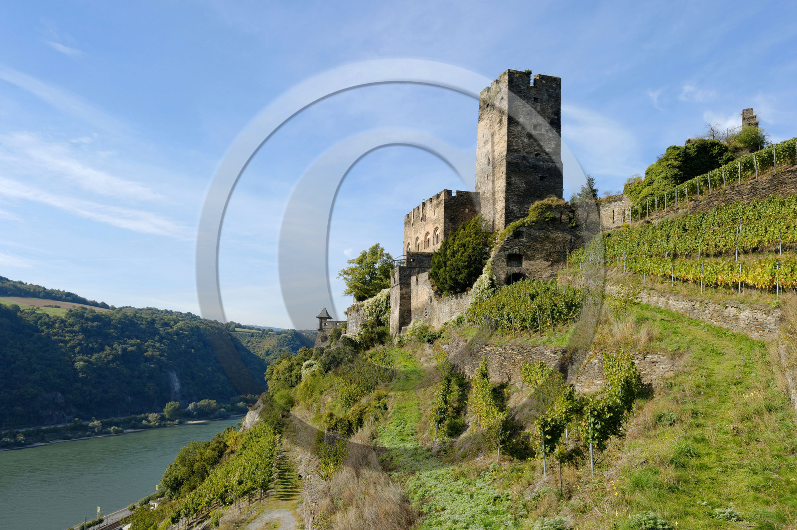 Allemangne, Rhin