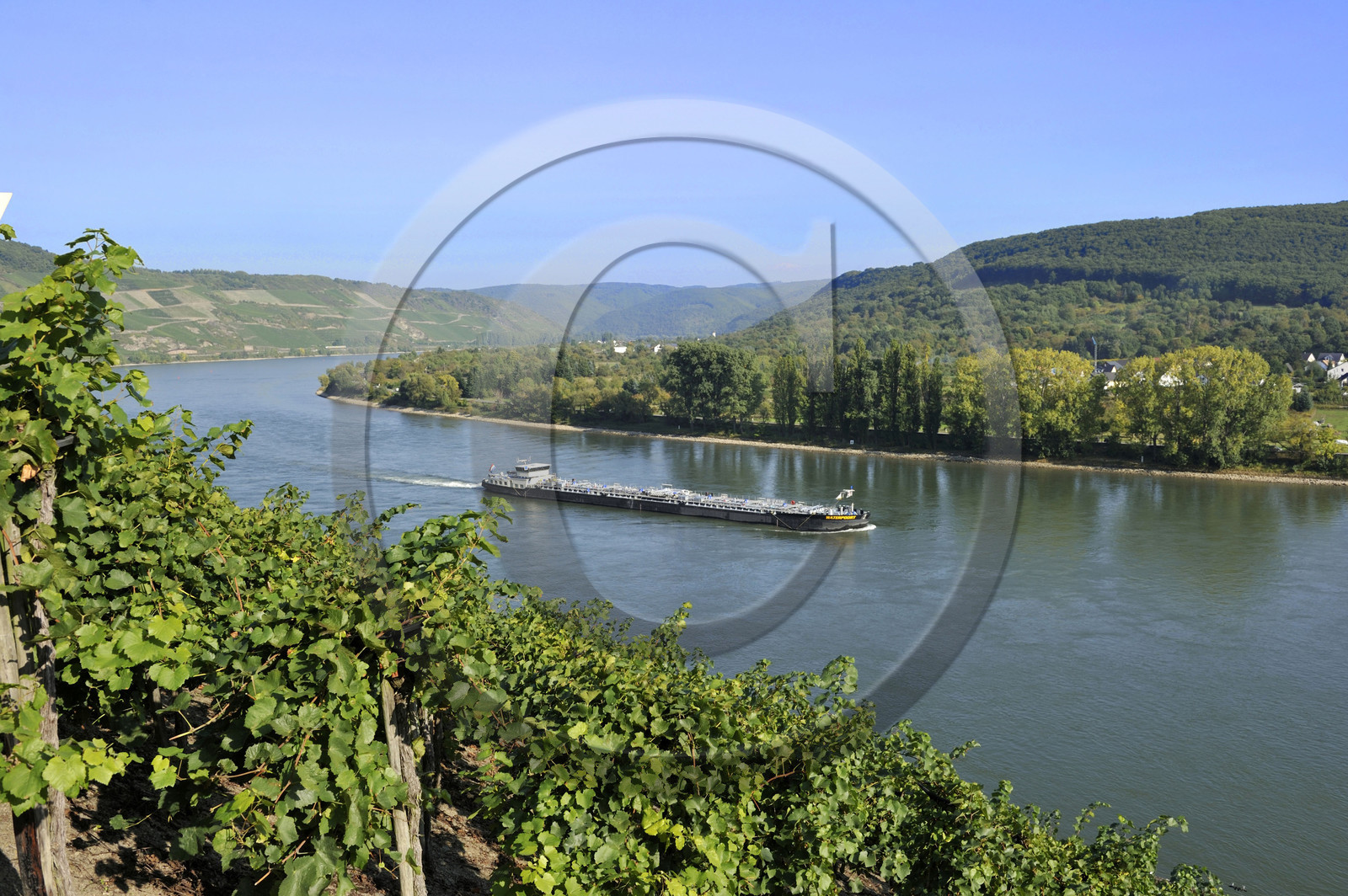 Allemagne, Rhin