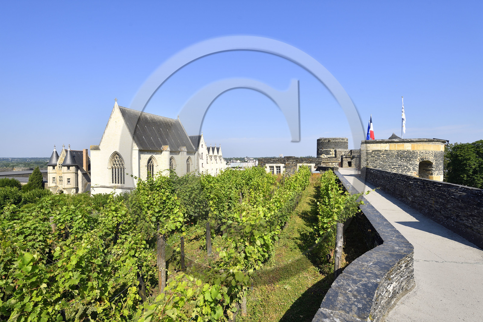 France, Angers
