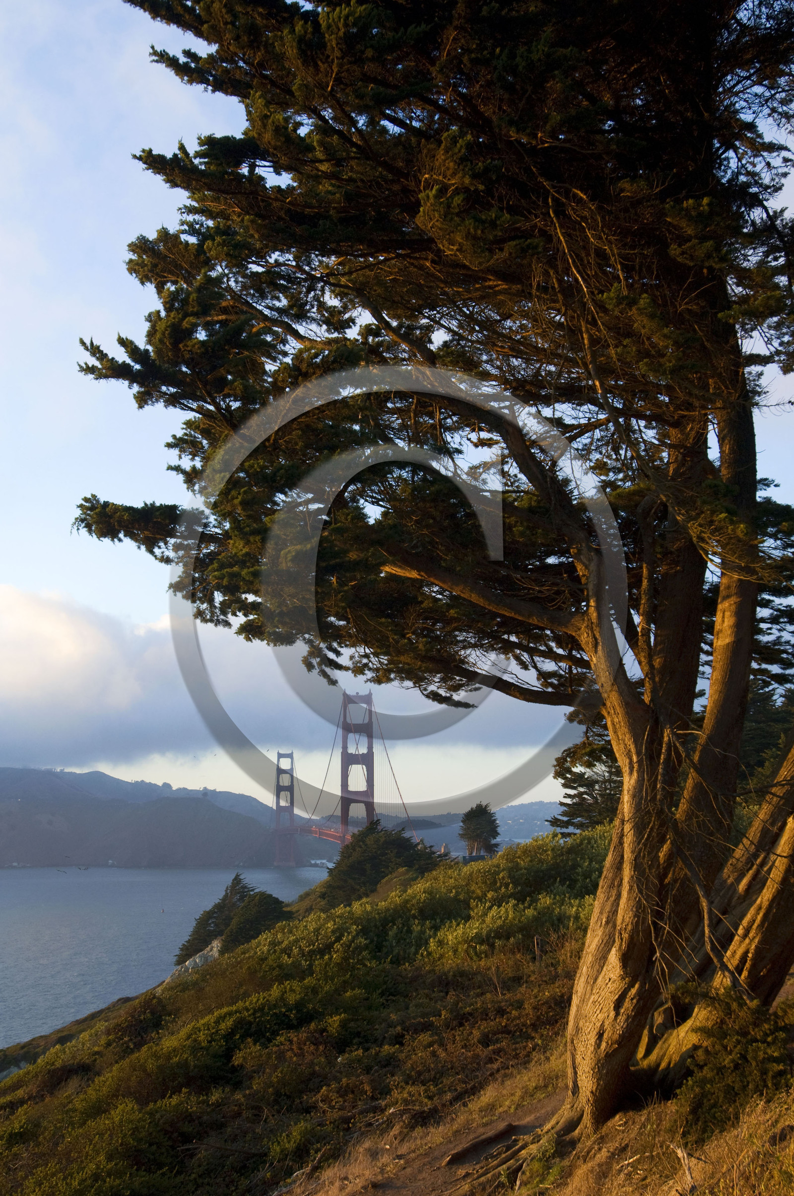 USA, SAN FRANCISCO