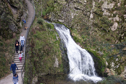 Allemagne, Forêt Noire