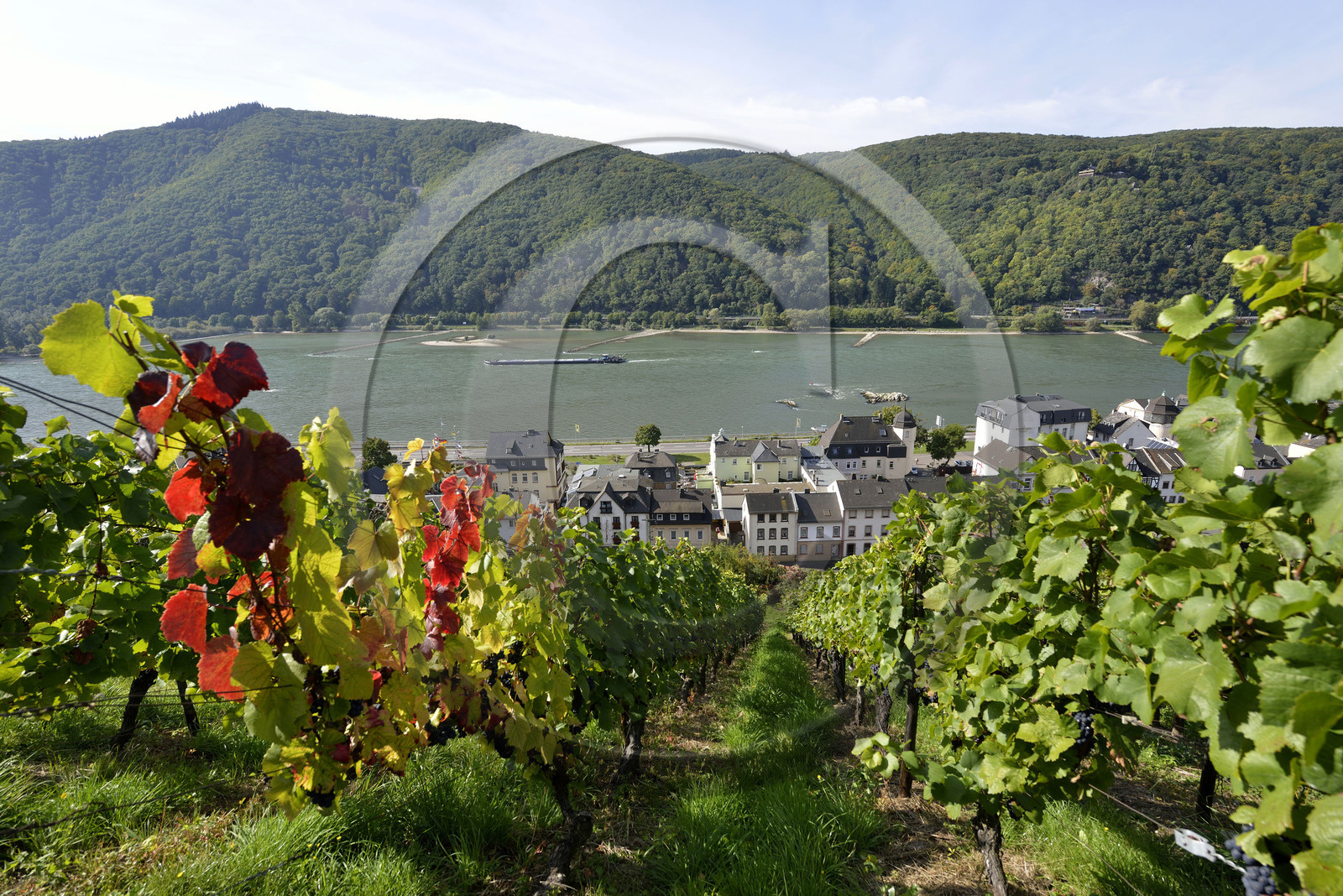 Allemangne, Rhin