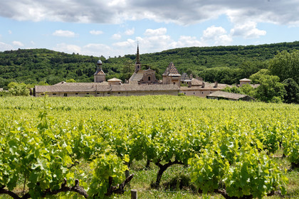 France, Valbonne