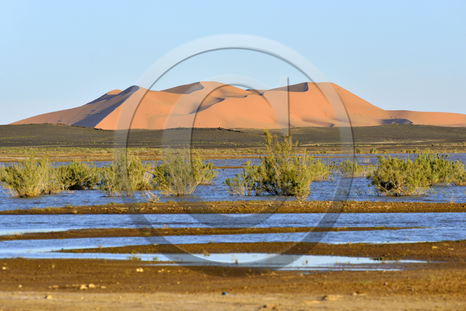 Maroc, Merzouga