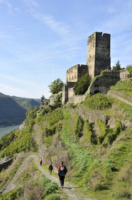 Allemangne, Rhin