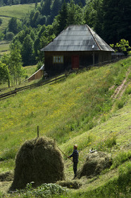 Roumanie, Apuseni