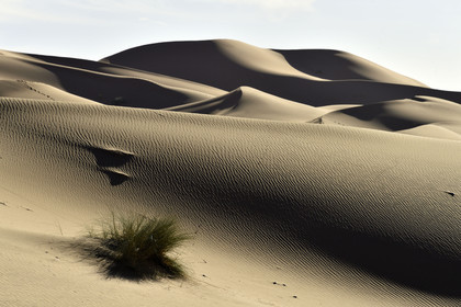 Maroc, Merzouga