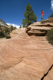 USA, ZION