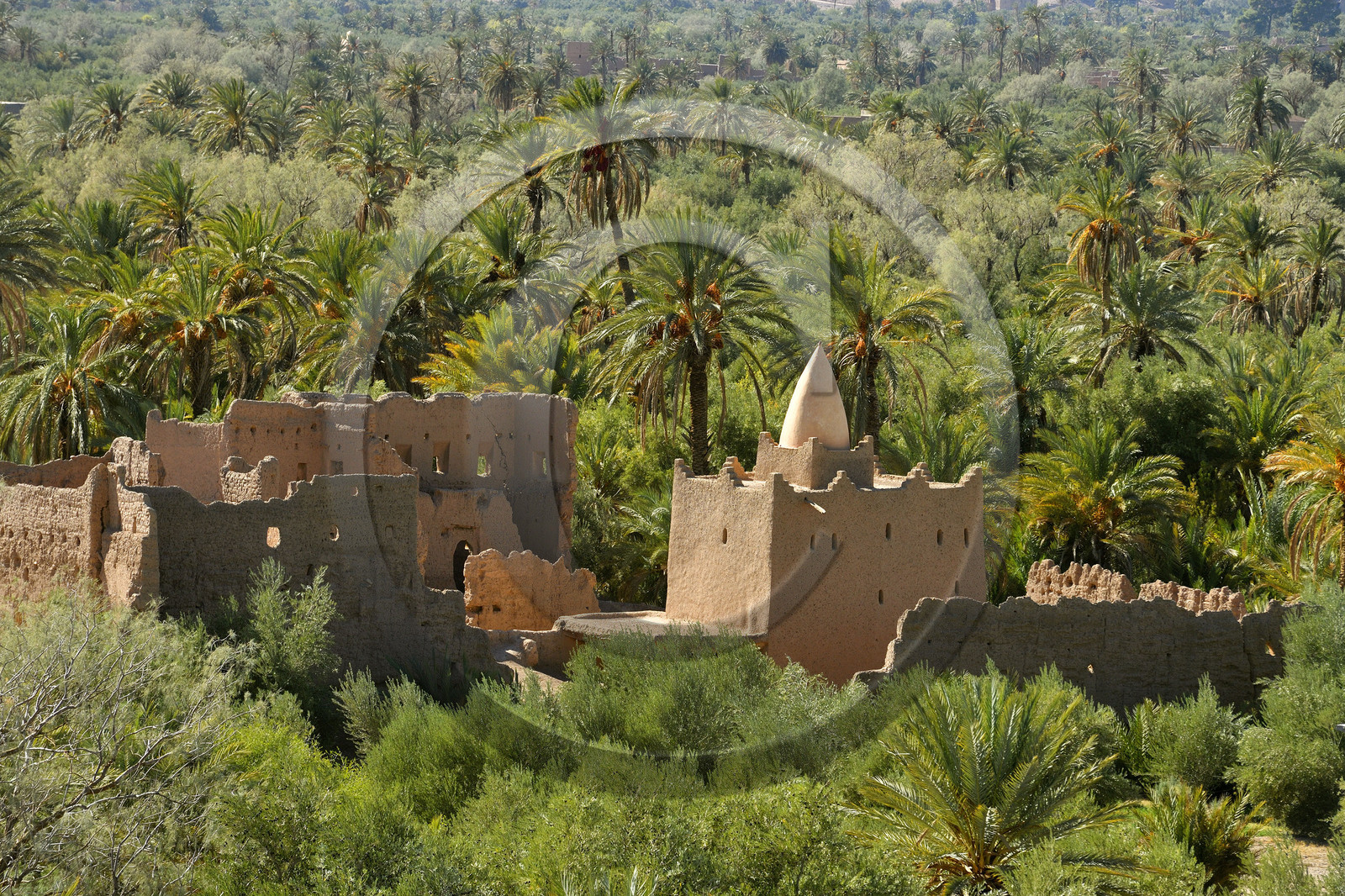 Maroc, Amerhidil