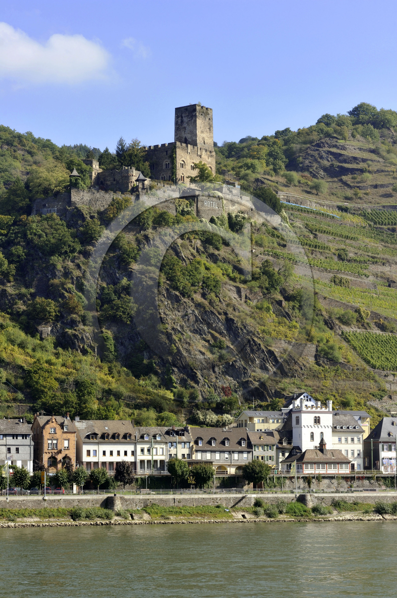 Allemagne, Rhin