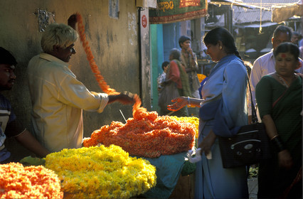 Inde du Sud