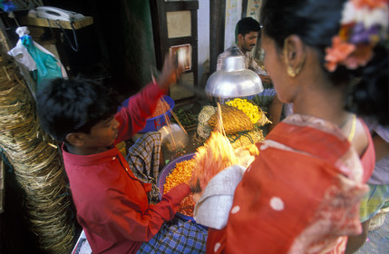 Inde du Sud
