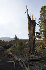 USA, SUNSET CRATER