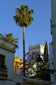 Espagne, Sevilla