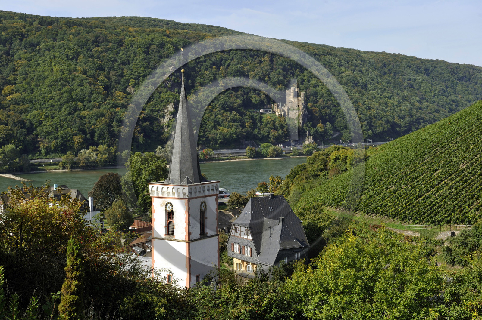 Allemangne, Rhin
