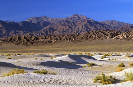 USA West