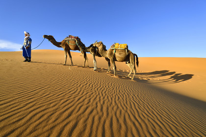 Maroc, Merzouga